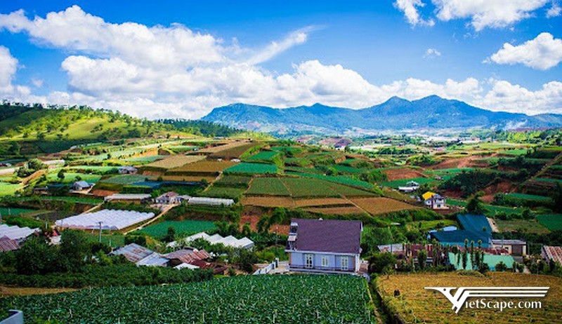 Lâm Đồng là địa điểm du lịch nổi tiếng với cảnh sắc đẹp, văn hóa độc đáo