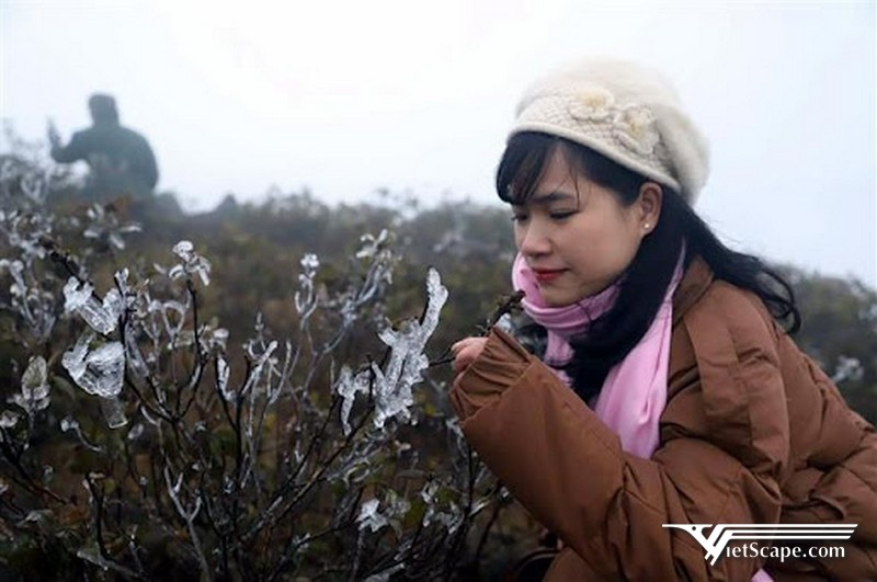 Nếu muốn ngắm tuyết hay băng giá thì bạn có thể chọn du lịch Quảng Ninh vào mùa Đông