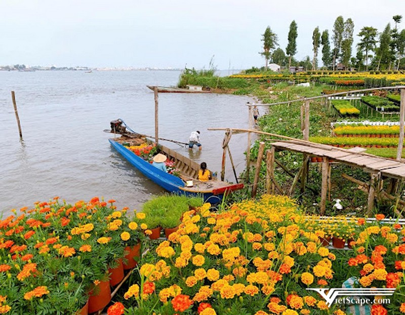 Du lịch Đồng Bằng Sông Cửu Long vào mùa nào đẹp nhất?