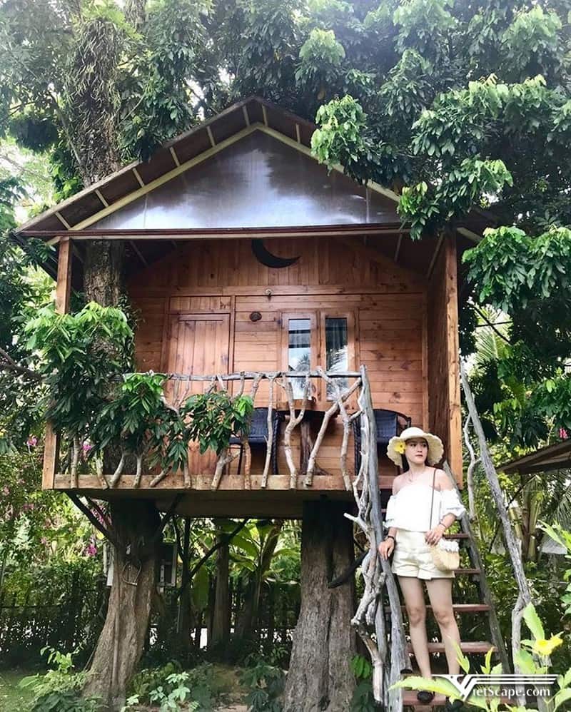 Ngôi nhà trên cây nổi tiếng trong “giới” homestay đẹp ở Phú Quốc
