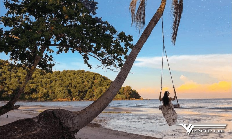 Những cây đu treo lơ lửng trên thân cây dừa là địa điểm sống ảo quen thuộc của giới trẻ