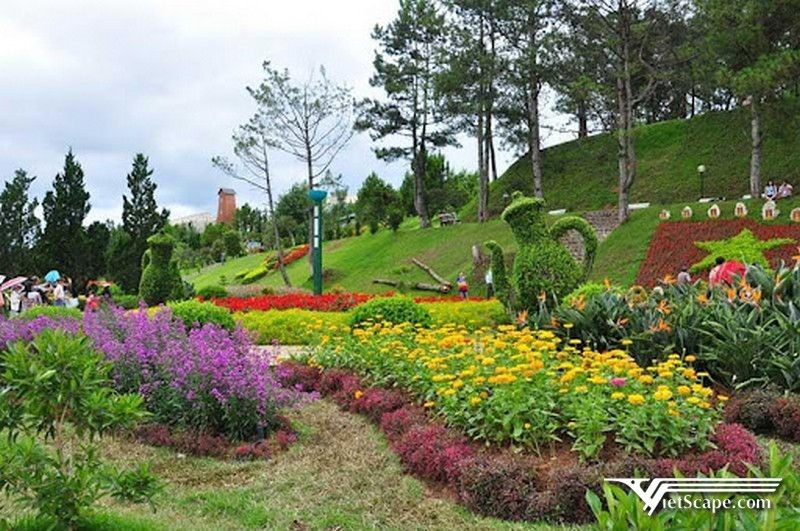 Nơi để bạn thưởng thức trăm loài hoa đua nở chỉ có thể là vườn hoa thành phố Đà Lạt