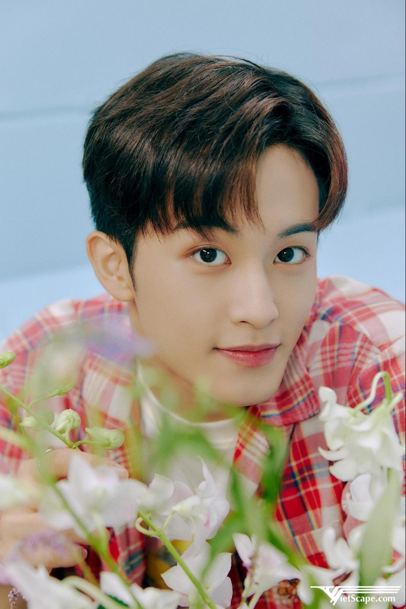 Mark