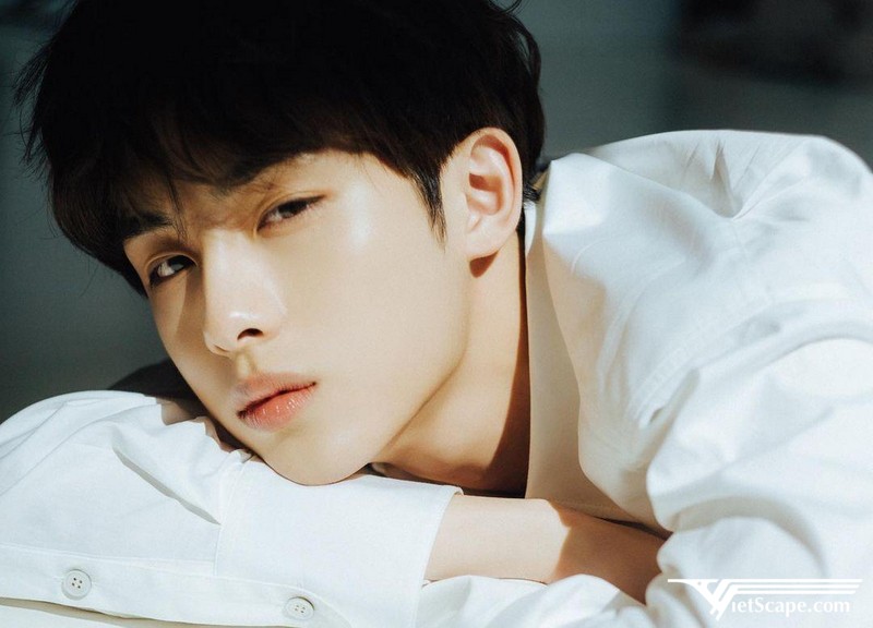 WinWin