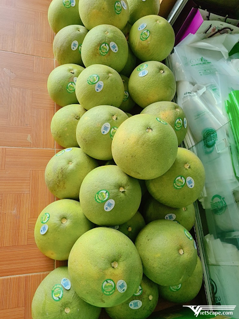 Bưởi múc Bảo Thắng