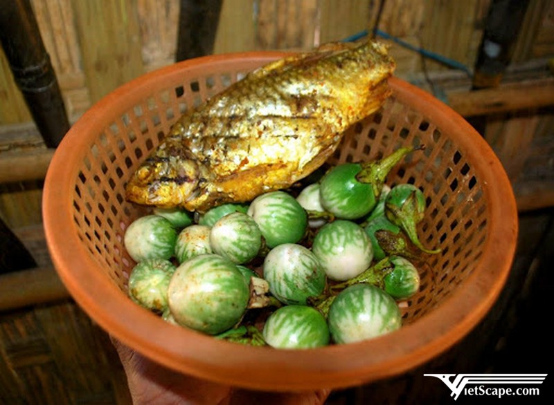 Cà đắng