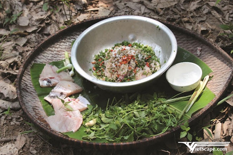 Cá gỏi kiến vàng