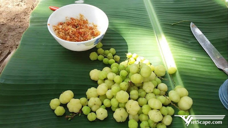 Chùm ruột