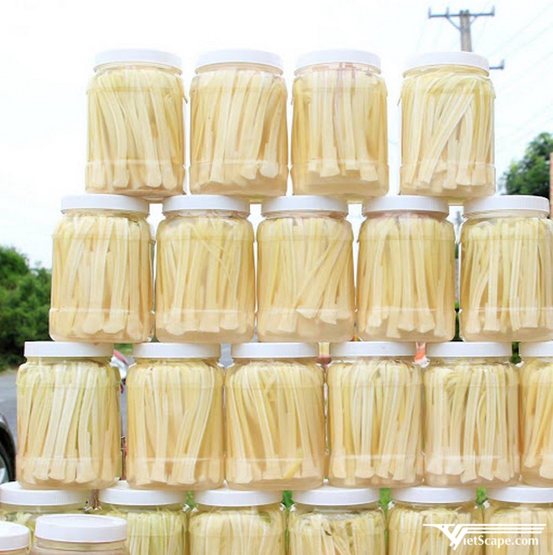 Dưa bồn bồn Cà Mau