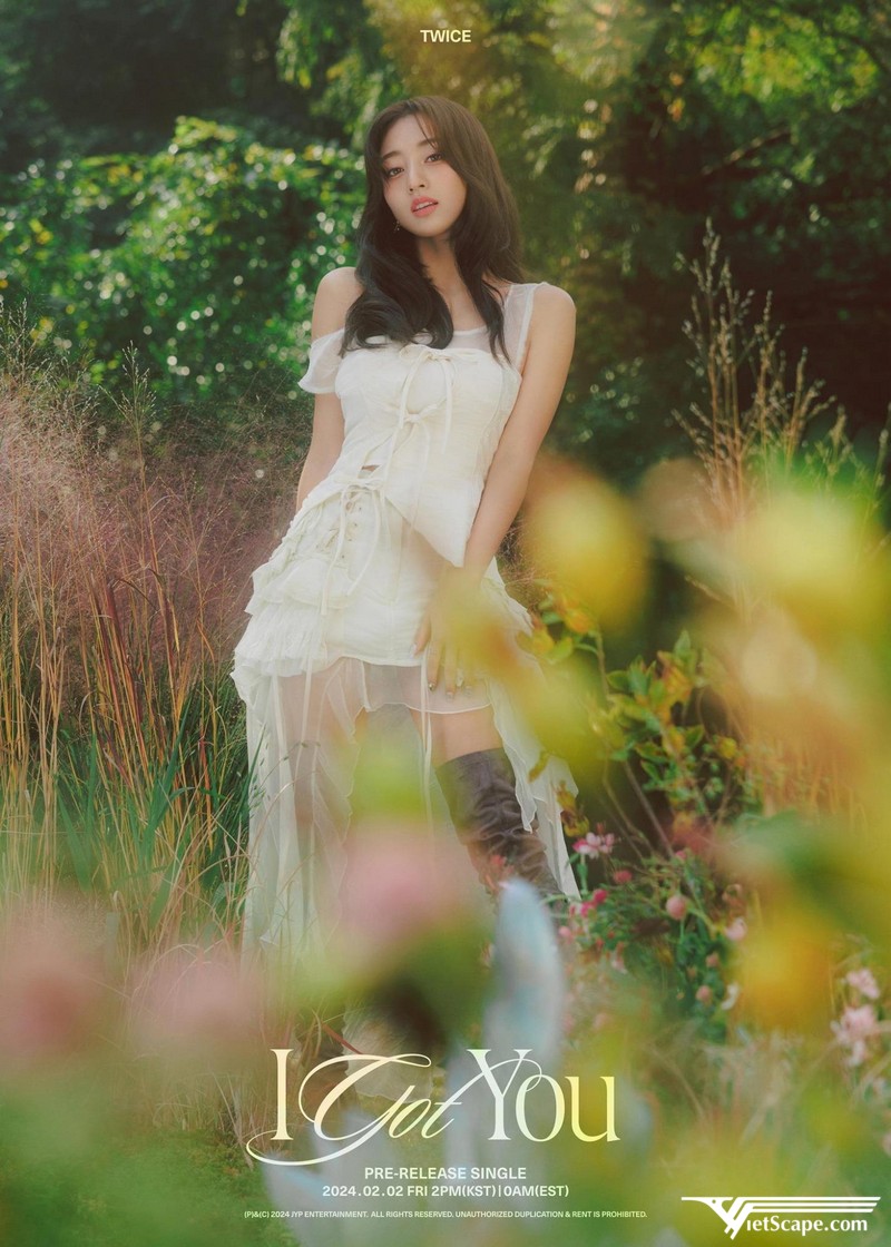 Jihyo ra mắt cùng nhóm nhạc Twice và hoạt động Solo từ năm 2015 - nay