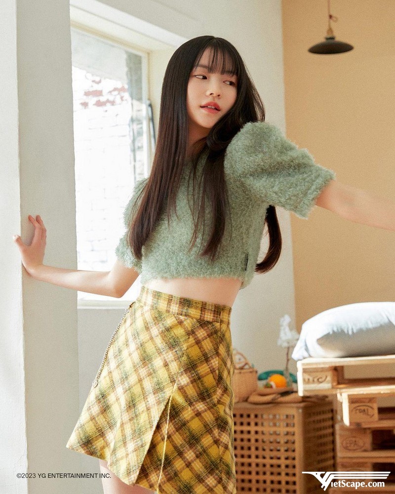Một số hình ảnh về Asa