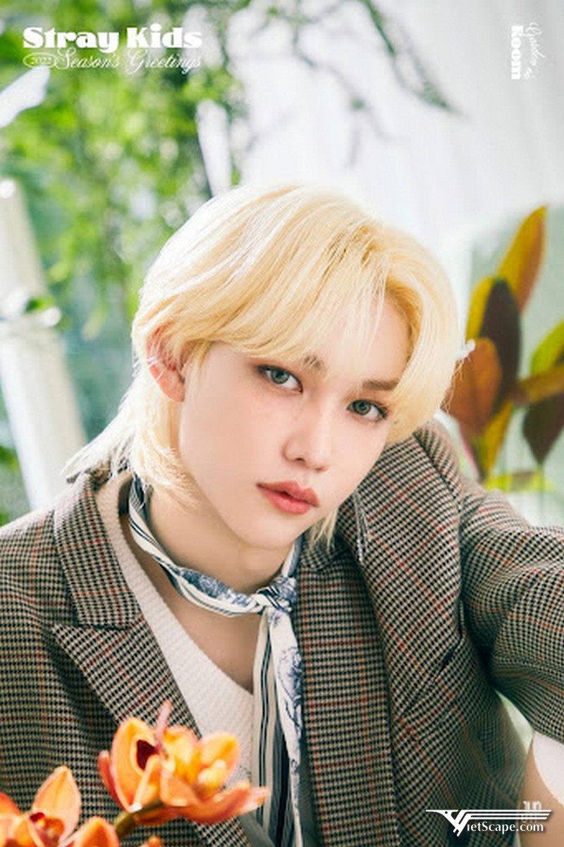 Một số hình ảnh về Felix