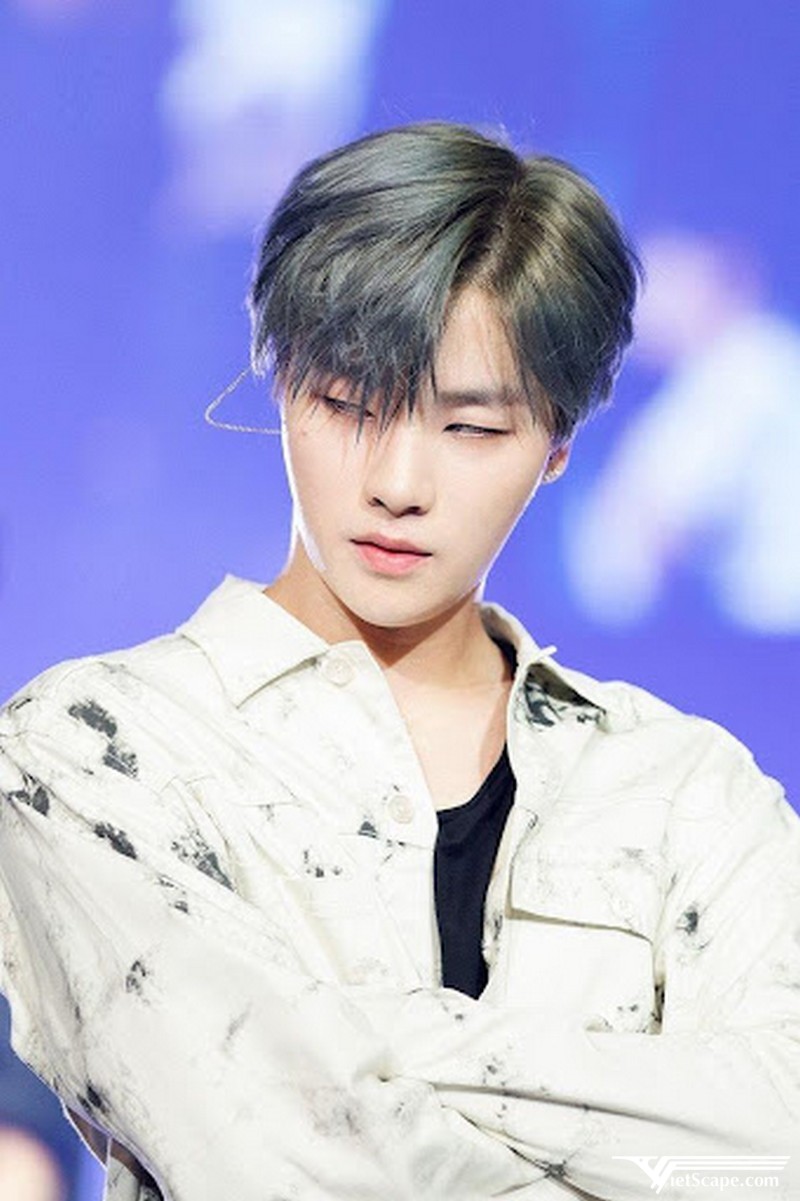 Một số hình ảnh về Jay