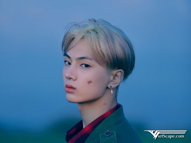 Một số hình ảnh về Jay