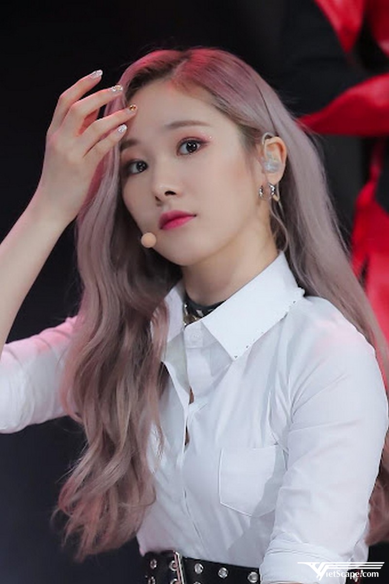 Một số hình ảnh về Mia