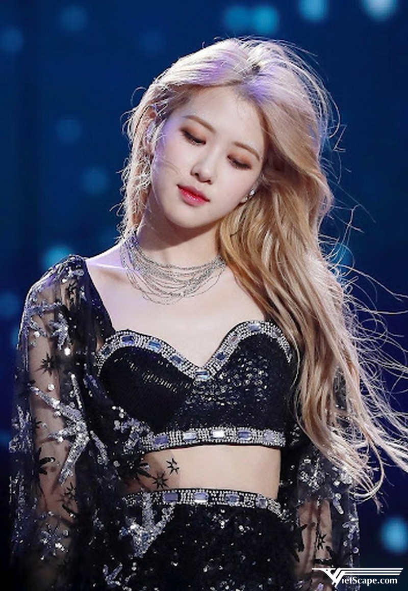 Một số hình ảnh về Rose