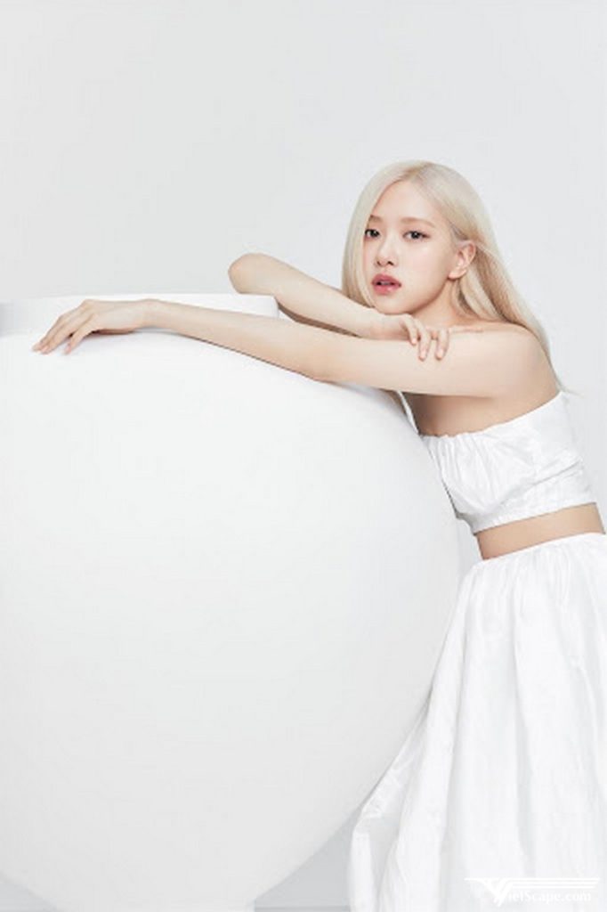 Một số hình ảnh về Rose