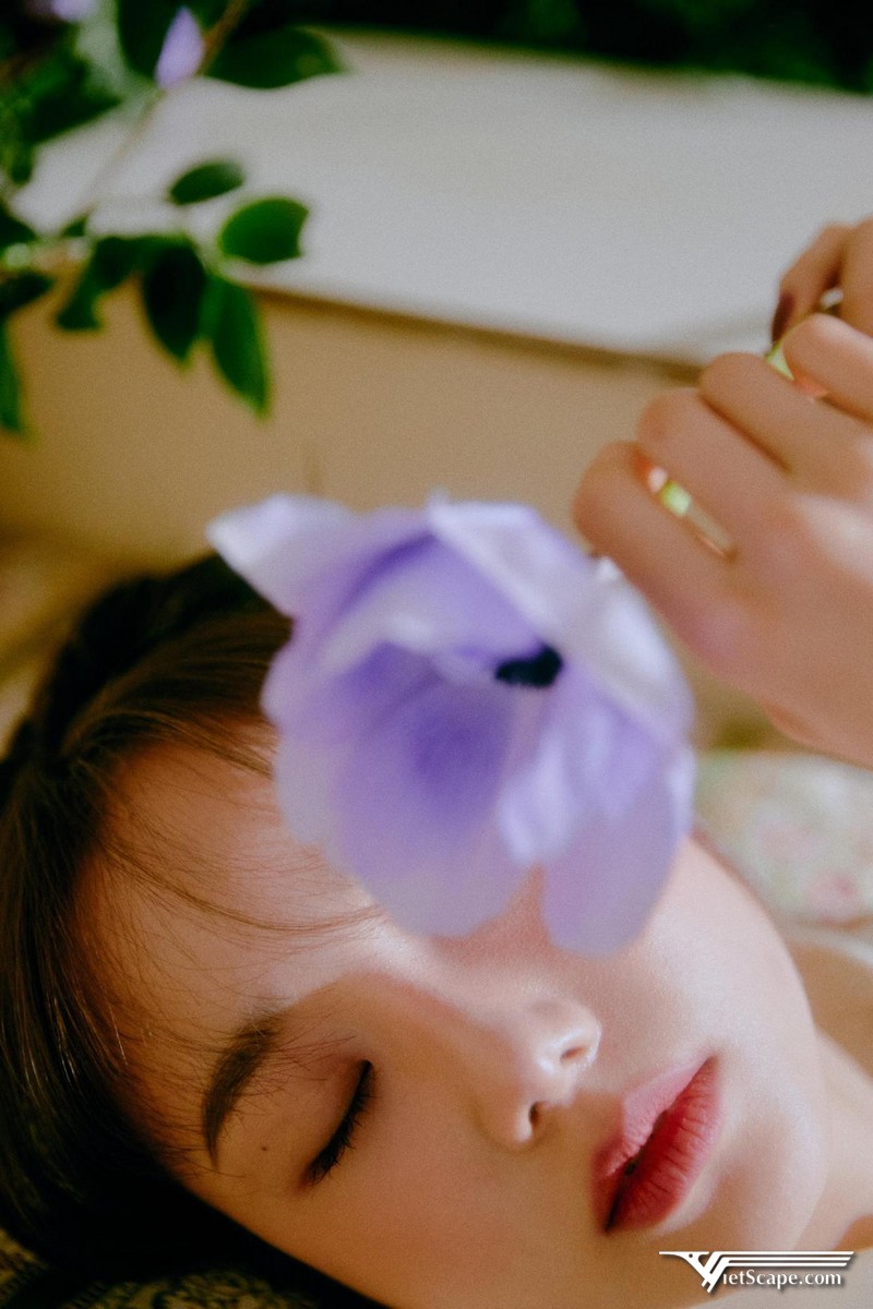 Một số hình ảnh về Saena