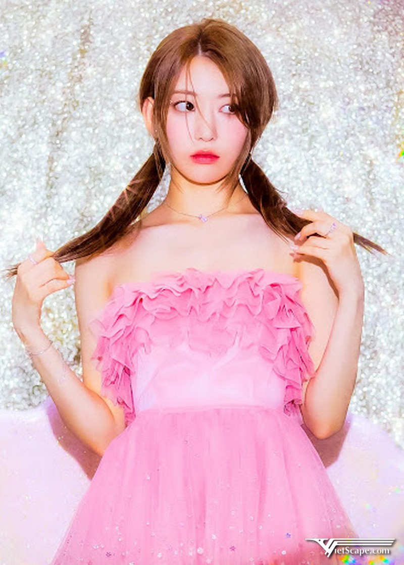 Một số hình ảnh về Sakura