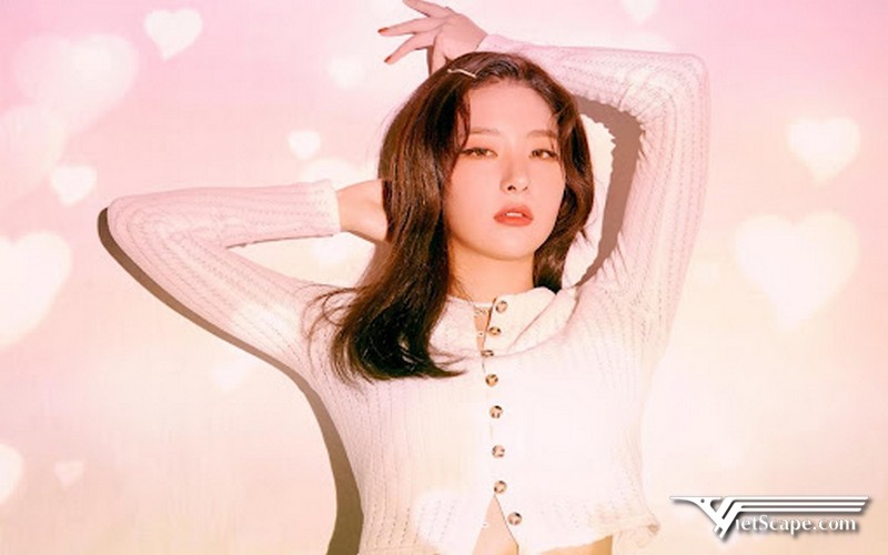 Một số hình ảnh về Seulgi