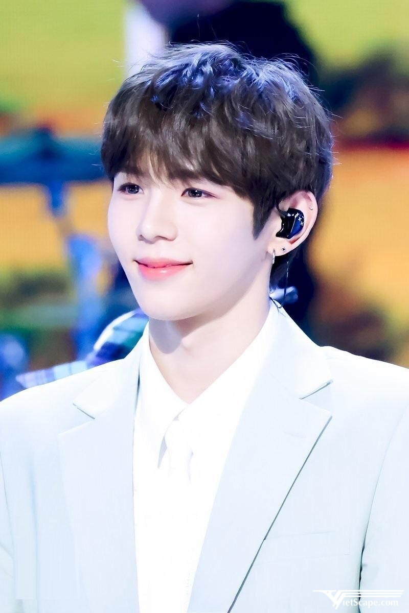 Một số hình ảnh về Shotaro