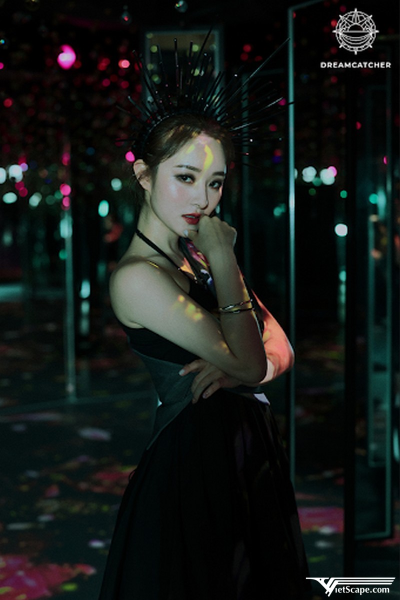 Một số hình ảnh về SuA