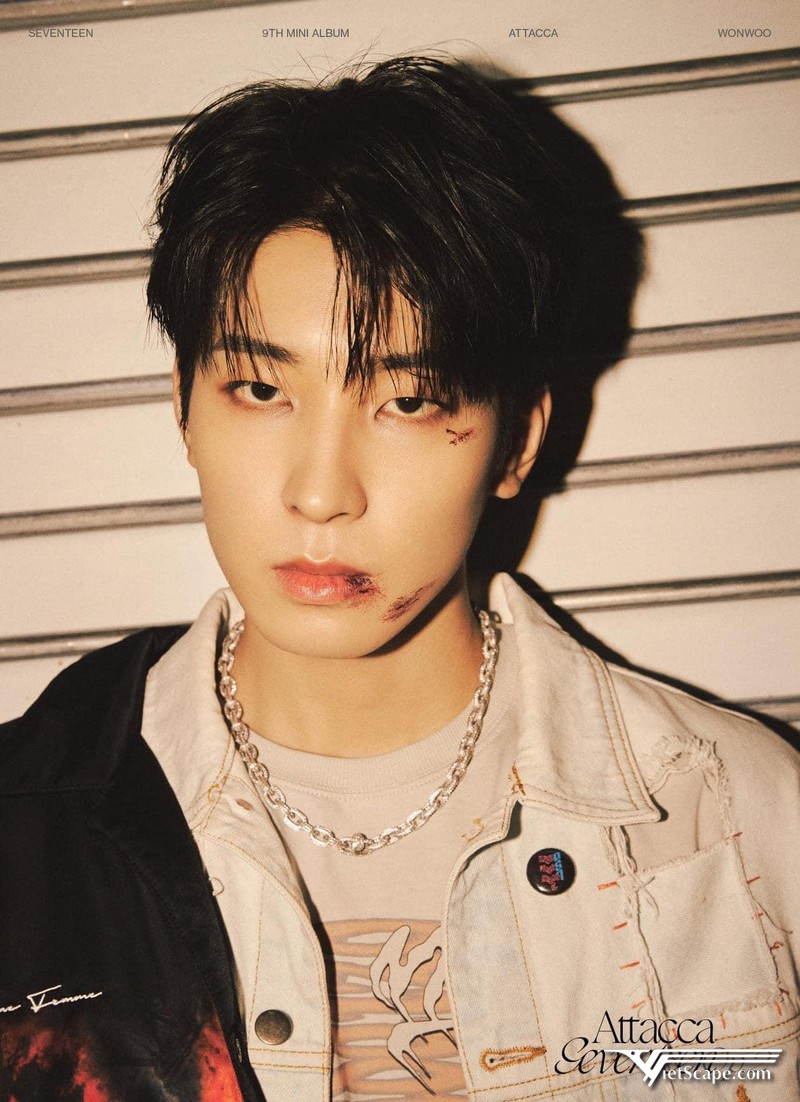 Một số hình ảnh về Wonwoo