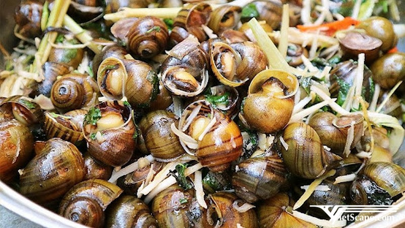 Ốc gạo Tân Phong