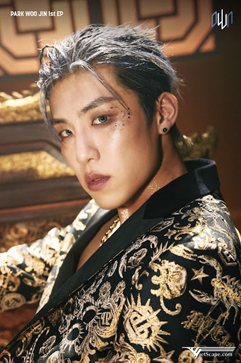 Park Woojin hoạt động Solo và ra mắt nhóm nhạc Ab6ix từ năm 2019
