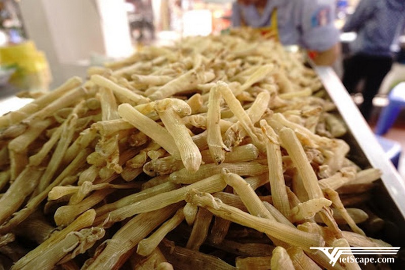 Sá sùng Quan Lạn