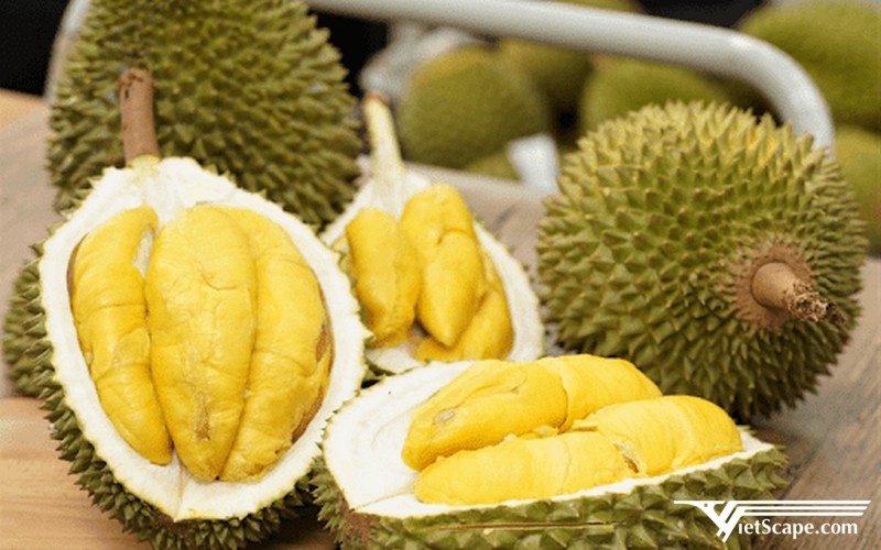 Sầu riêng Ngũ Hiệp