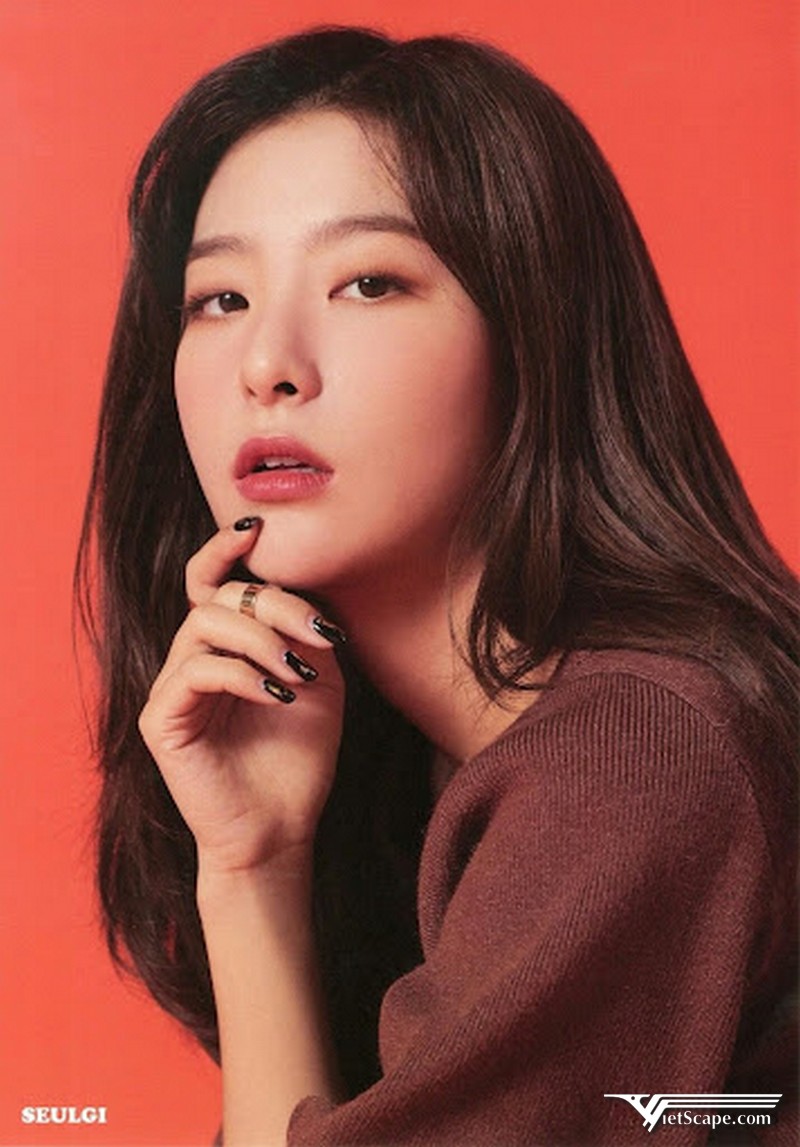 Seulgi với câu chuyện đời tư được rất nhiều người hâm mộ quan tâm