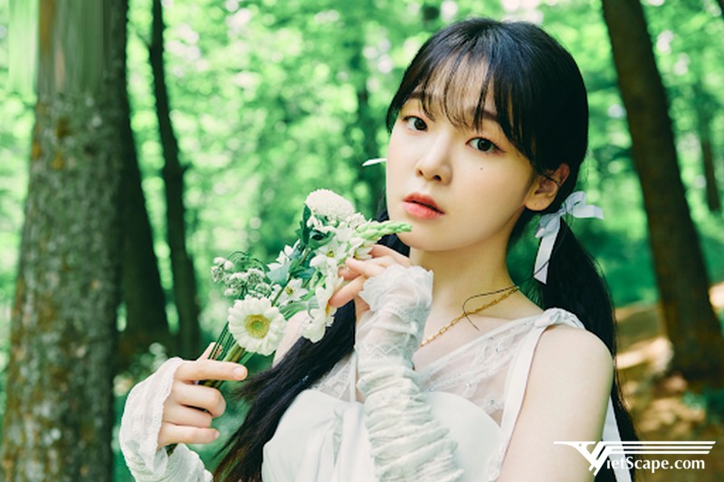 Seunghee từng tham gia chương trình Superstar K mùa 2 và Star King