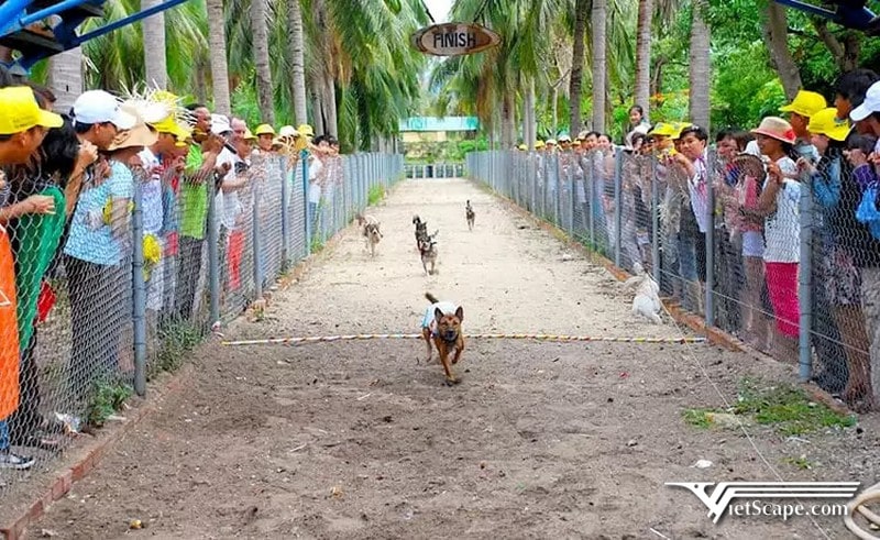 Hướng dẫn đường đến trang trại chó Phú Quốc