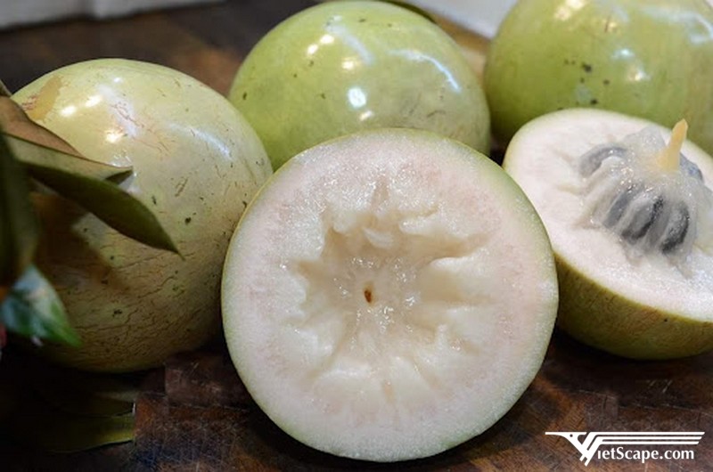Vú sữa Lò rèn