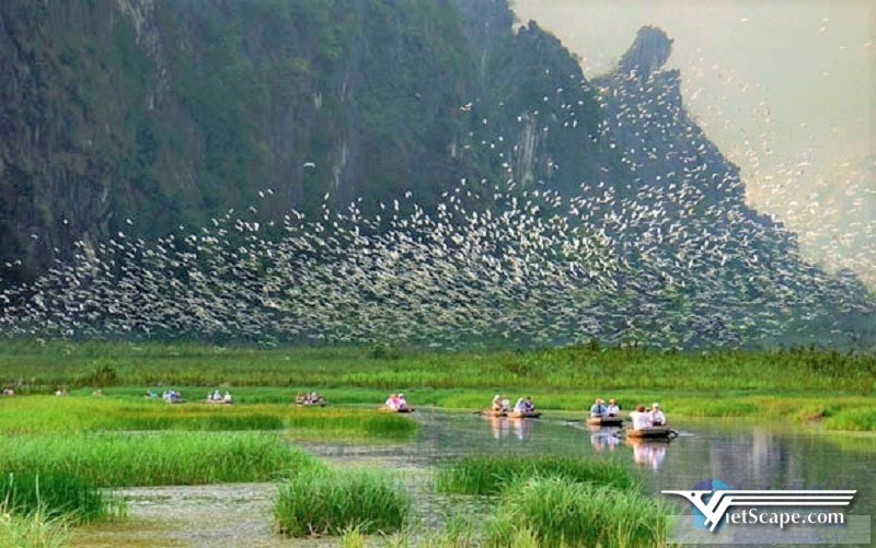 Vườn chim Thung Nham có cảnh quan đẹp và đa dạng sinh học