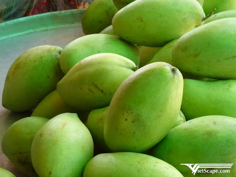 Xoài cát Hoà Lộc
